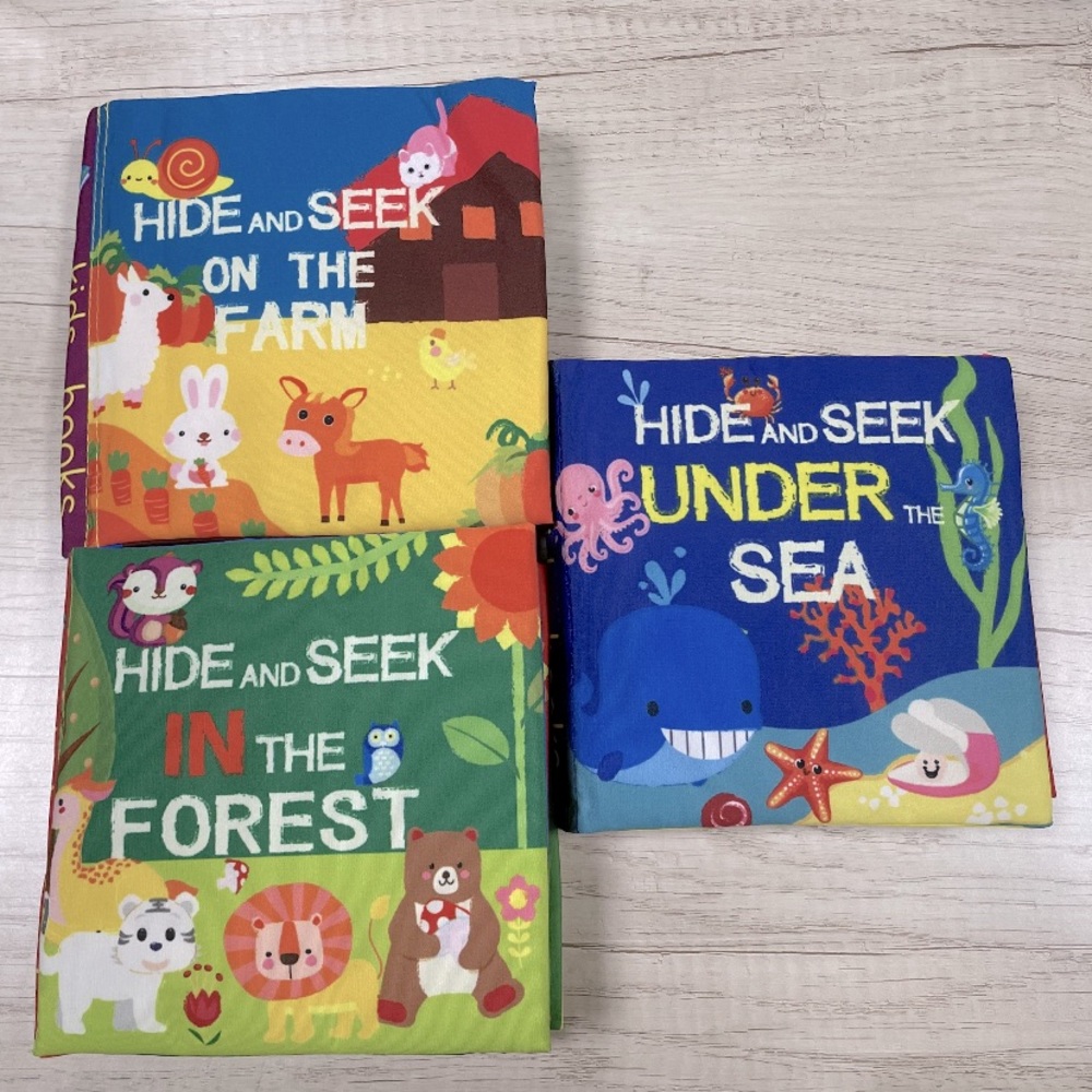 Hide & Seek Books